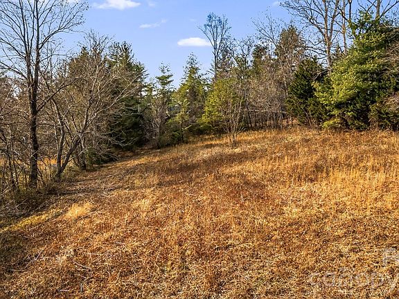4th image of 1236 Upper Brush Creek Rd