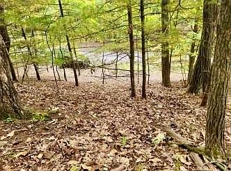 3rd image of 11 Autumn Ct