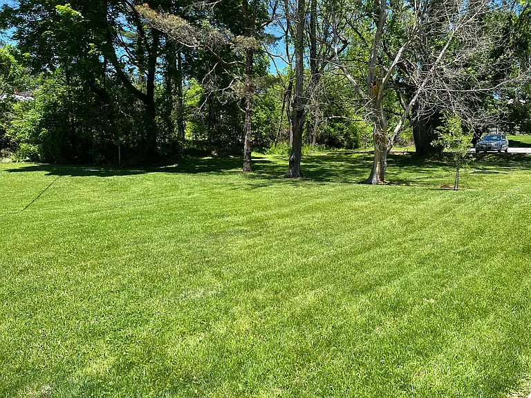 Huge Greenspace