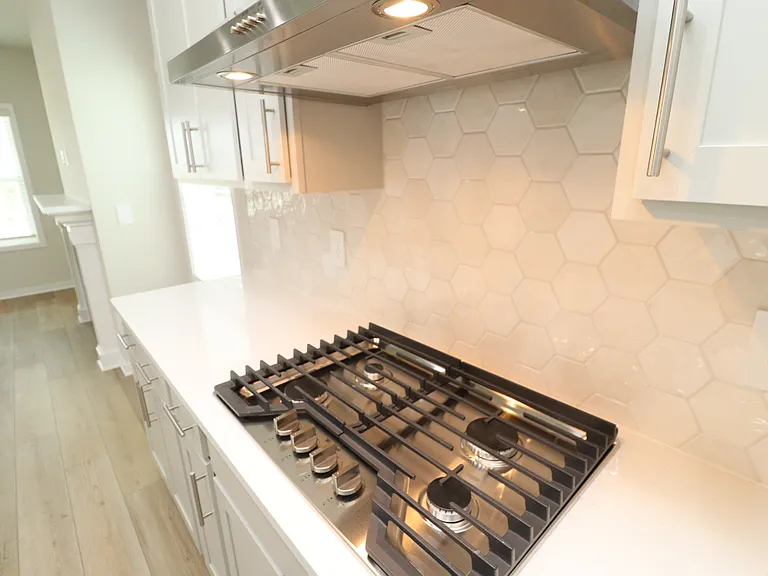 4129 Hazel Branch Way — Photo 9