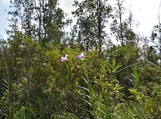 Lot 141 30th Ave, Keaau, HI 96749