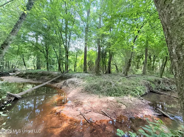 Summit Dr SW, Summit, MS 39666