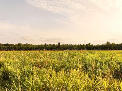 Suring Ln, Argonne, WI, 54511