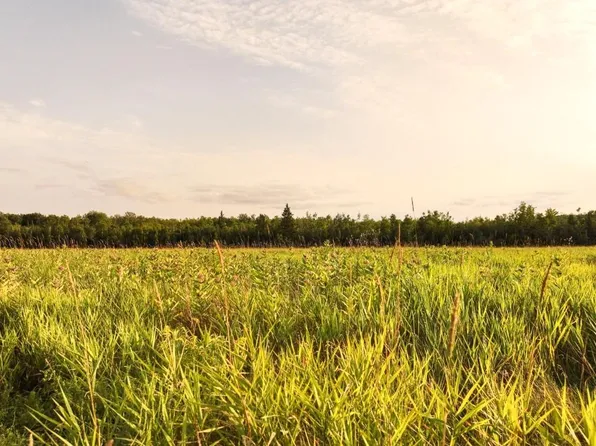 Suring Ln, Argonne, WI 54511