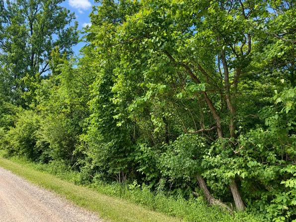 V/l 55th St, Grand Junction, MI 49056