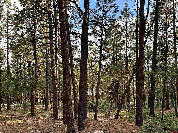 4th image of 319 Hillside Circle