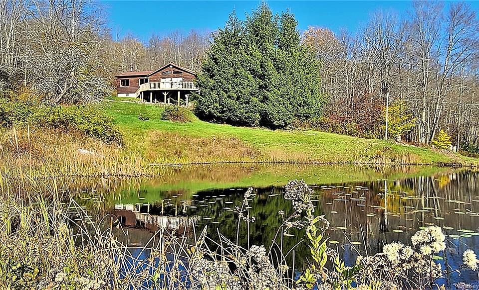 229 Glen Ellyn Road, Long Eddy, NY 12760 Zillow