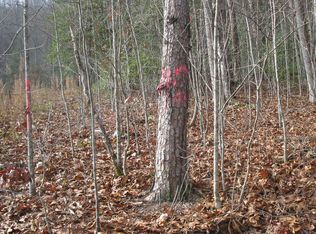 41-42 Possum Hollow Ln, Hayesville, NC 28904