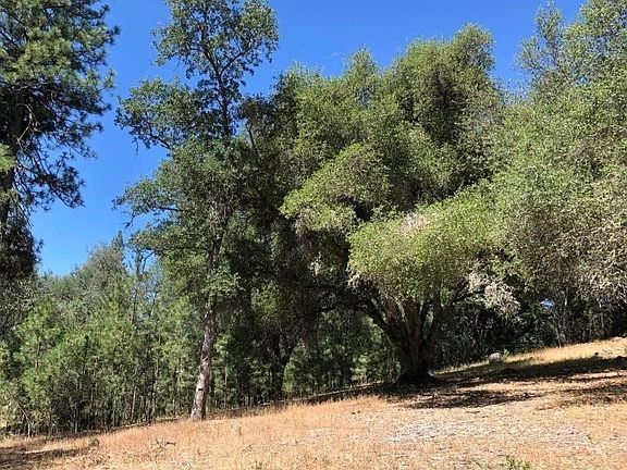 2nd image of 21930 Lyons Bald Mountain Rd