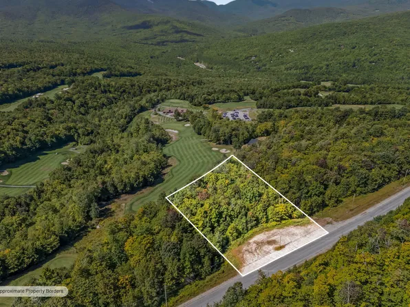 Lot 2 Monkey Brook Road, Newry, ME 04261