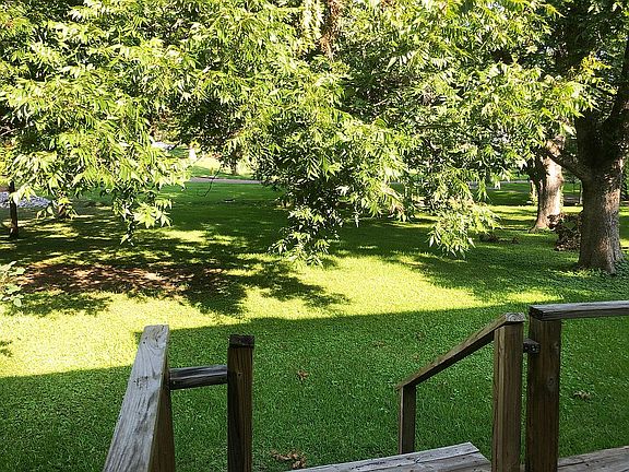 Back Yard View