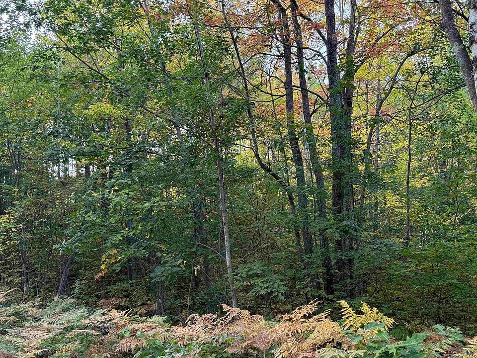 2nd image of 000 Old Hwy 2