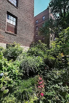 Rented by Bohemia Realty Group | media 7