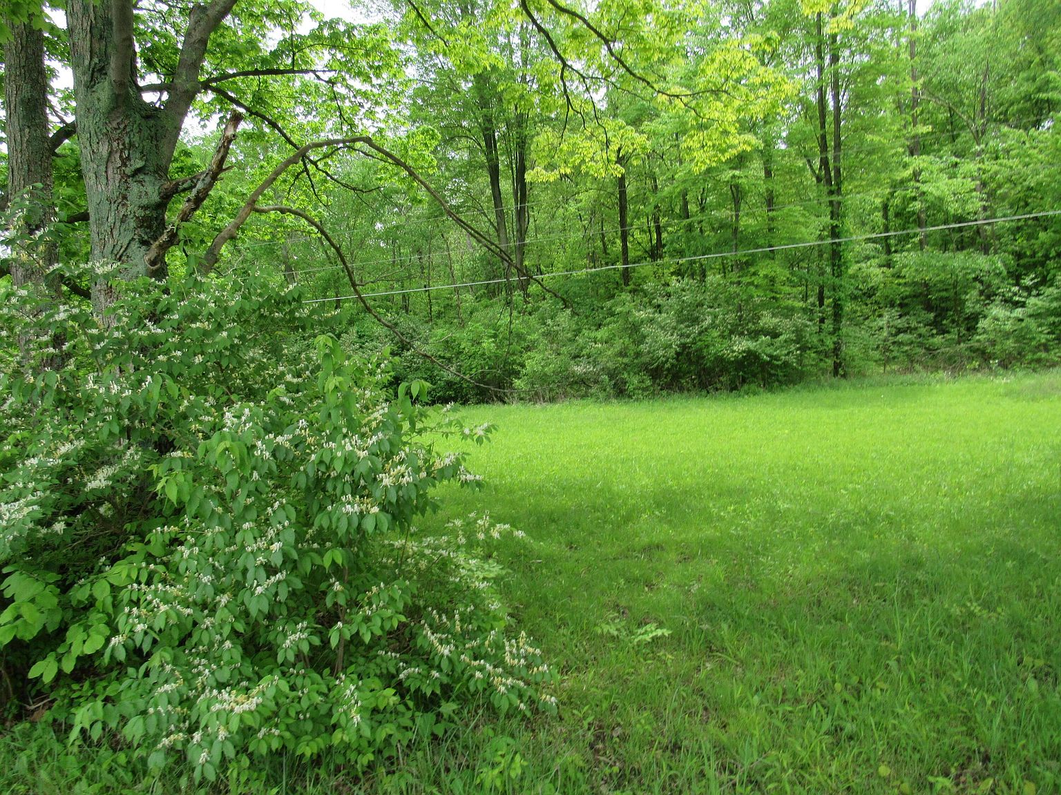 LOT 158 Buttermilk Hill Rd, Delaware, OH 43015 Zillow
