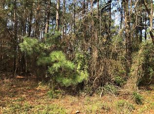 215 Pine Bend Ct, Cleveland, TX 77327