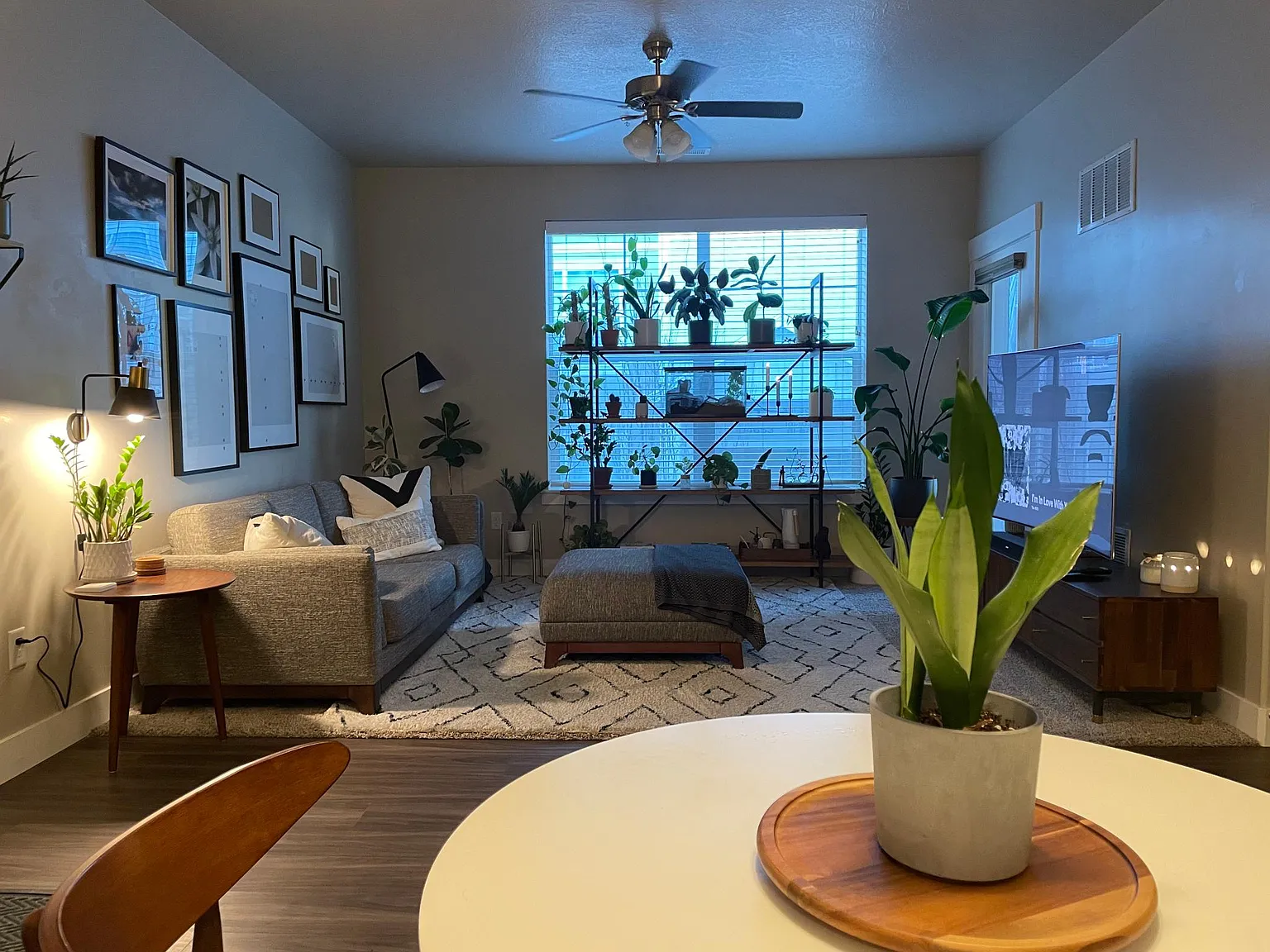 14642 S Bloom Dr — Photo 4