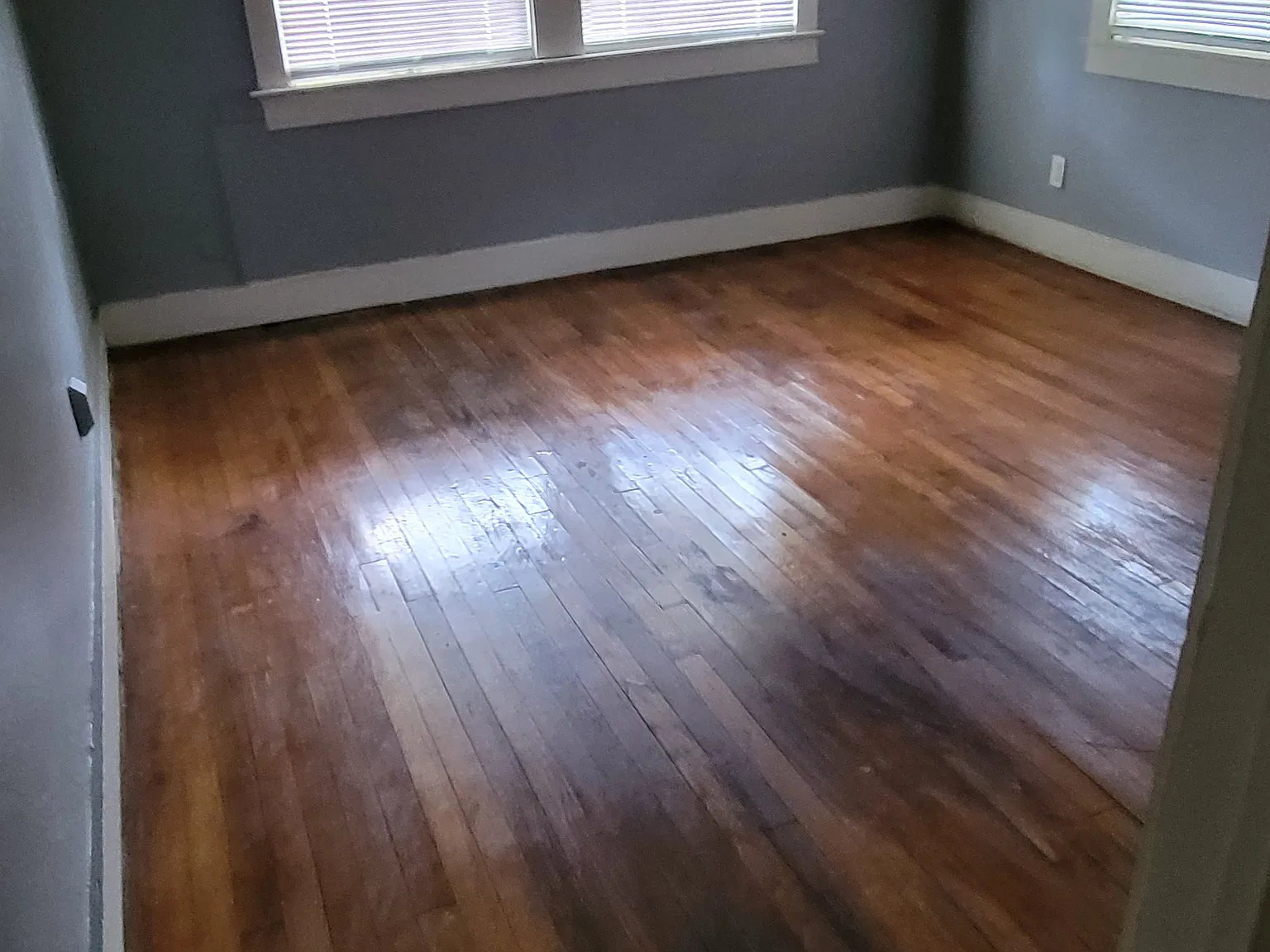 2 bed, 1100 sqft, $900 — Photo 2