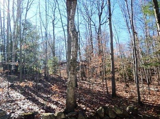 2nd image of 360 Currier Rd