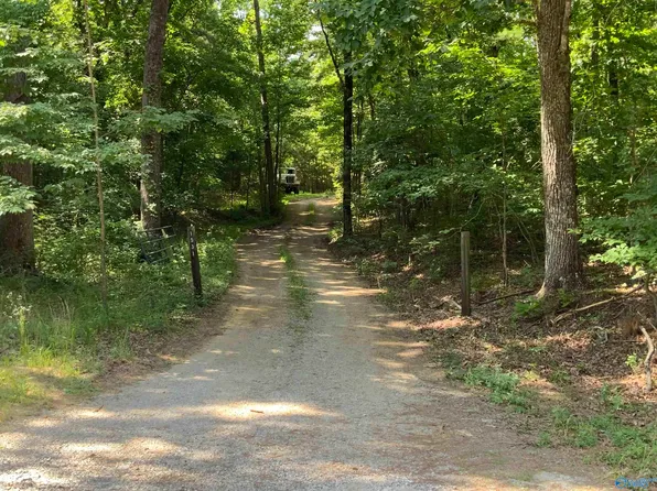 County Road 216, Woodville, AL 35776