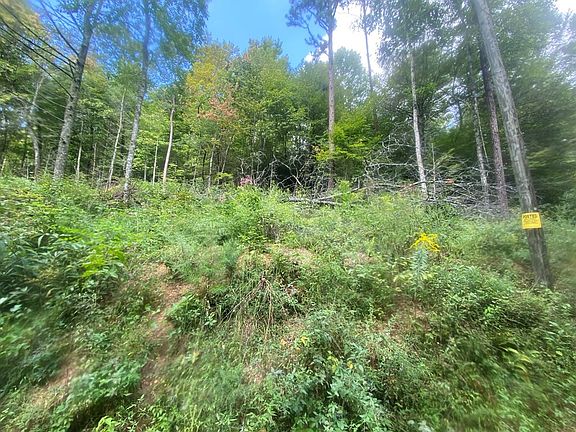 4th image of 1710 Peaceful Way #12