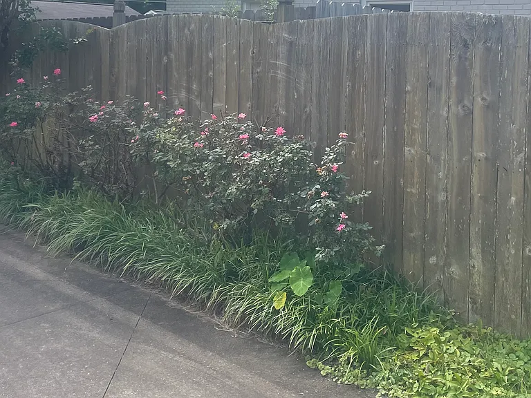 3618 Lipscomb Dr — Photo 13