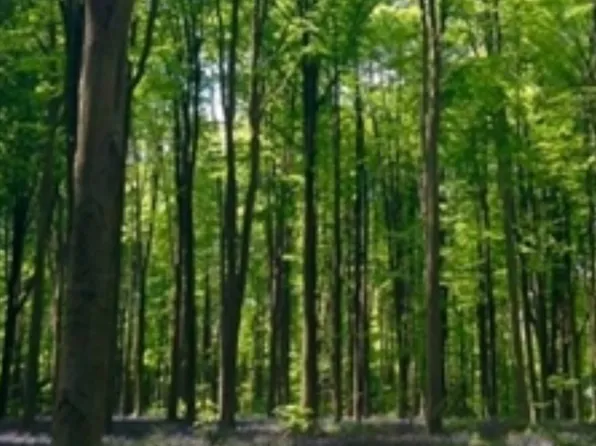 4 Winterberry Ln, North Easton, MA 02356