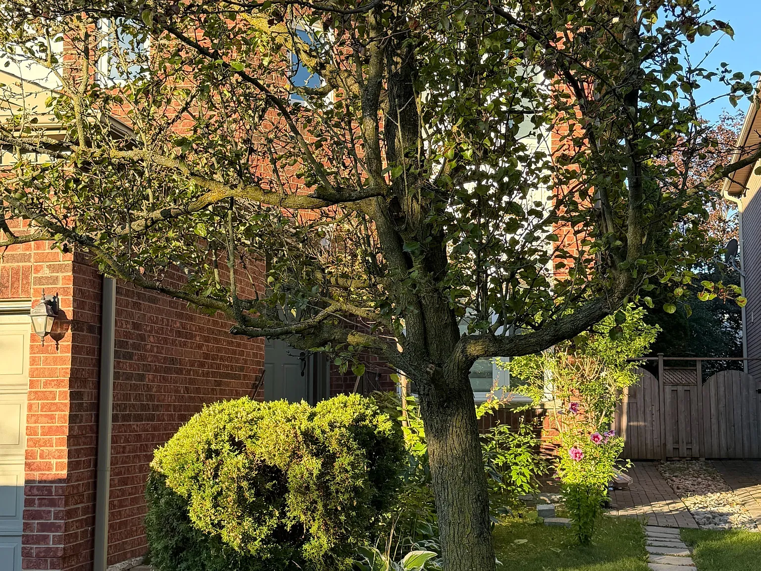 2 bed, $2,100 — Photo 2