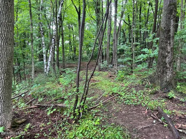 0 Skyline Trl, Middlefield, MA 01243