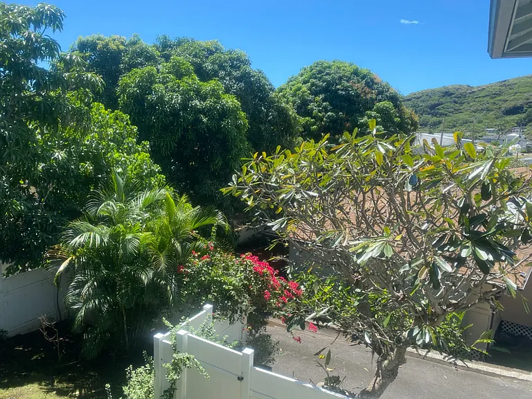 Front yard and driveway. This is the closest neighbor. The other sides have mountains and one other neighbor with a fence.