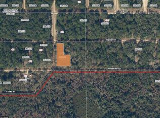 Alexander St #1, Interlachen, FL 32148