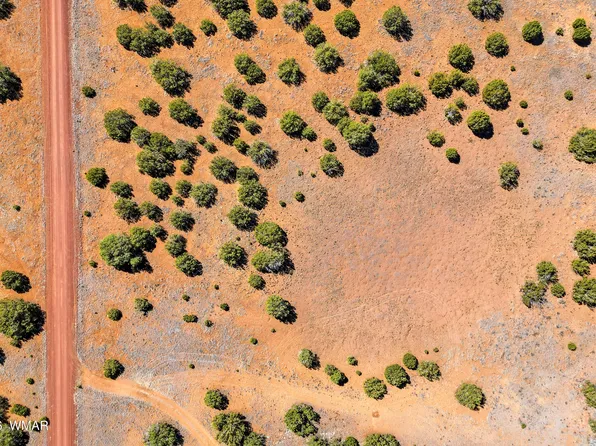 8085 County Rd, Concho, AZ 85924