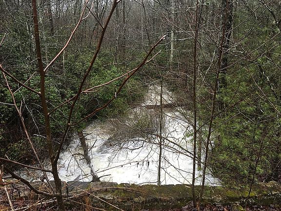 Creek. own both sides.