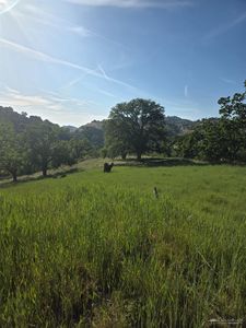 0 Forward Pass Ct #190, Tehachapi, CA, 93561
