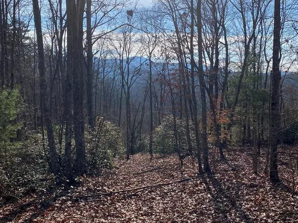 Rattlesnake Ln, Stuart, VA 24171