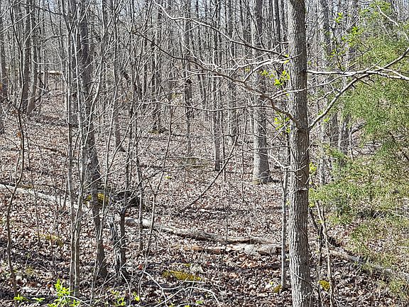 3rd image of 6220 Hwy 67