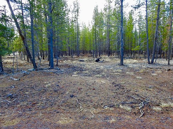 2nd image of Tl 10100 Beechwood Dr #1