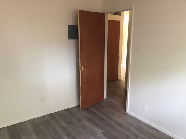 Updated 1 Bedroom Apartment near UNM, 313 Girard Blvd SE APT 4, Albuquerque, NM 87106