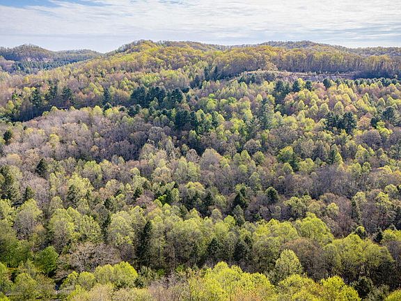 5th image of Guest River Rd