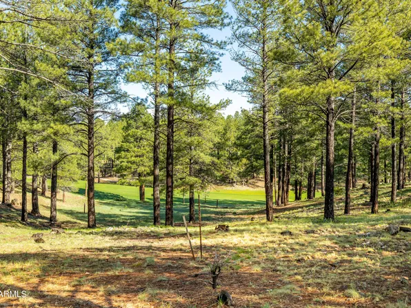 3631 S Woodland Hills -- #368, Flagstaff, AZ 86005