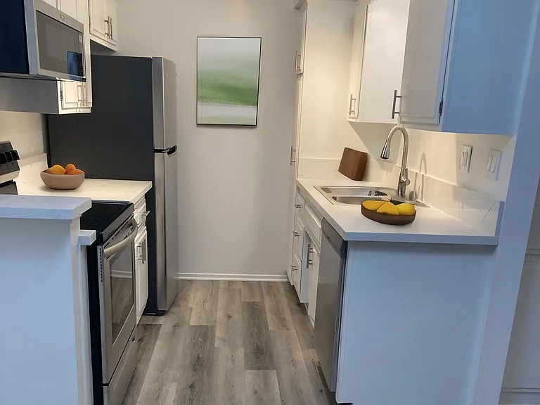 1 Bedroom 1 Bath - Unit 103