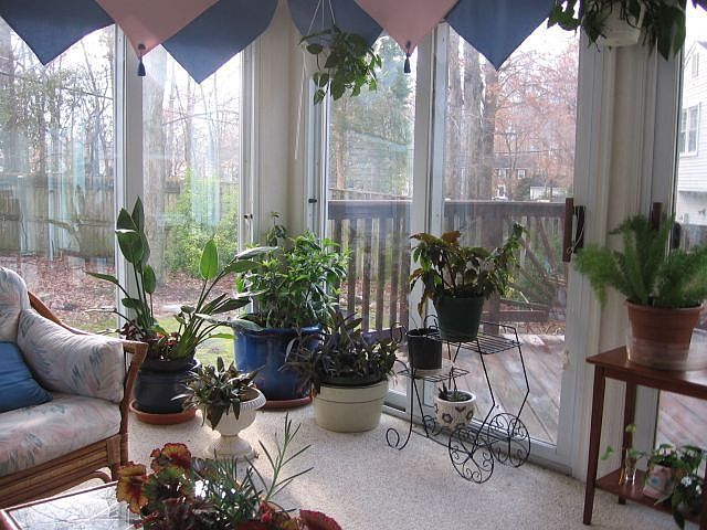 Sun Room