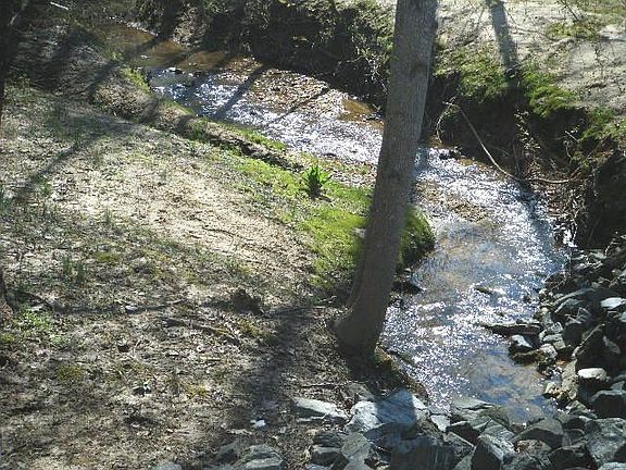 4th image of 1969 Bethesda Dr
