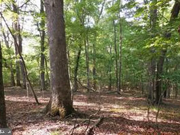 LOT 31 N Sycamore Ln, Gore, VA 22637