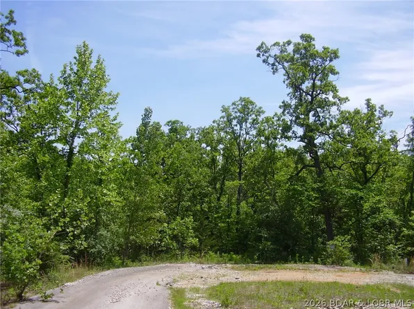 21 Silver Spur Ct, Camdenton, MO 65020