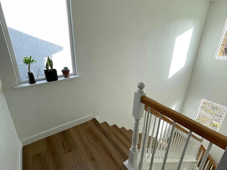 4204 Evolution Way — Photo 9