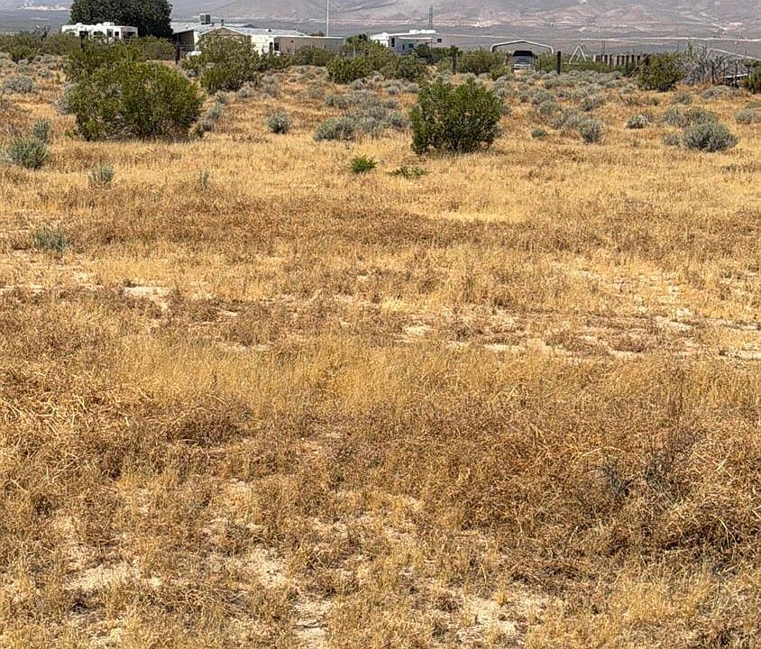 1st image of 0 Yellowbird St