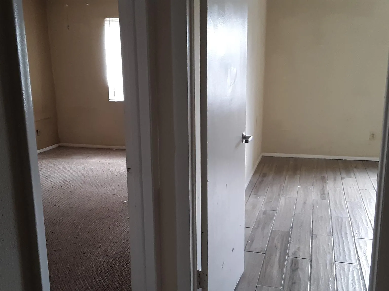2 bed, 1100 sqft, $1,550 — Photo 4