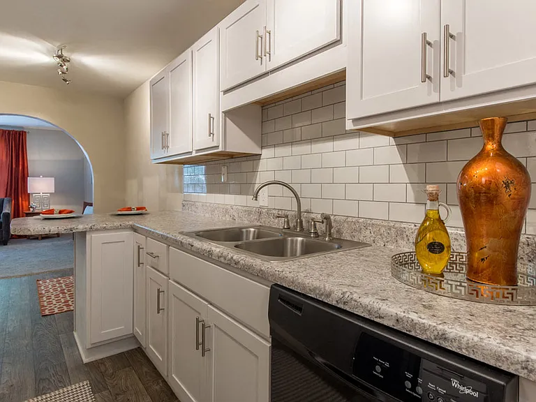 Double Stainless Steel Sink