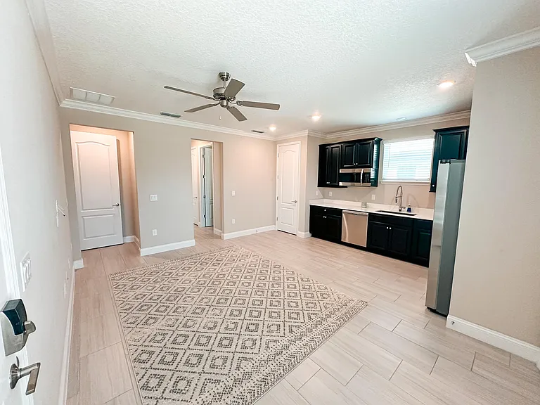 In-law Suit - Living room and Kitchen