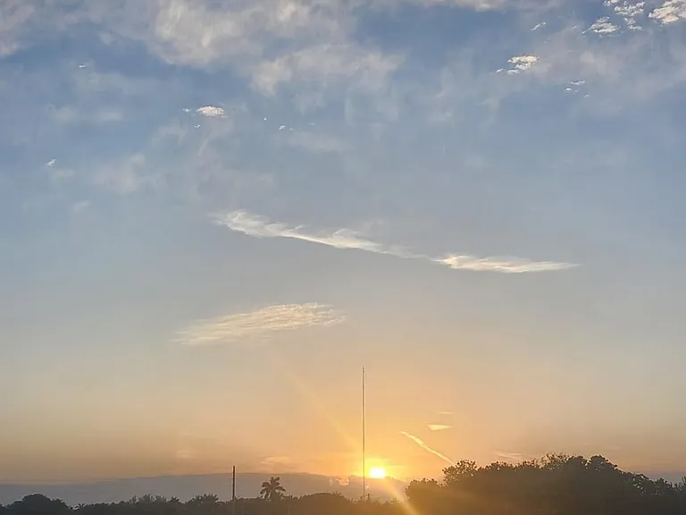 Window View